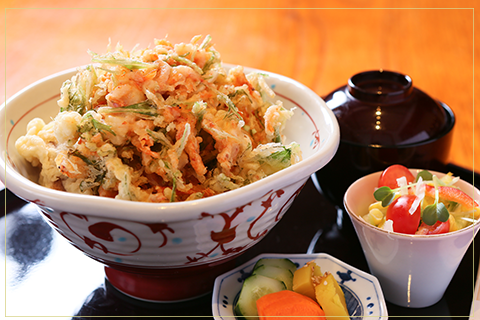 Sakura shrimp tempura rice bowl